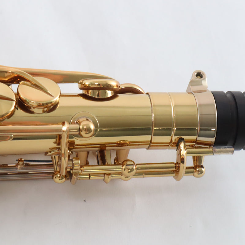 Eastman Model EAS850 'Rue Saint-Georges' Professional Alto Saxophone BRAND NEW- for sale at BrassAndWinds.com
