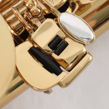 Eastman Model EAS850 'Rue Saint-Georges' Professional Alto Saxophone BRAND NEW- for sale at BrassAndWinds.com