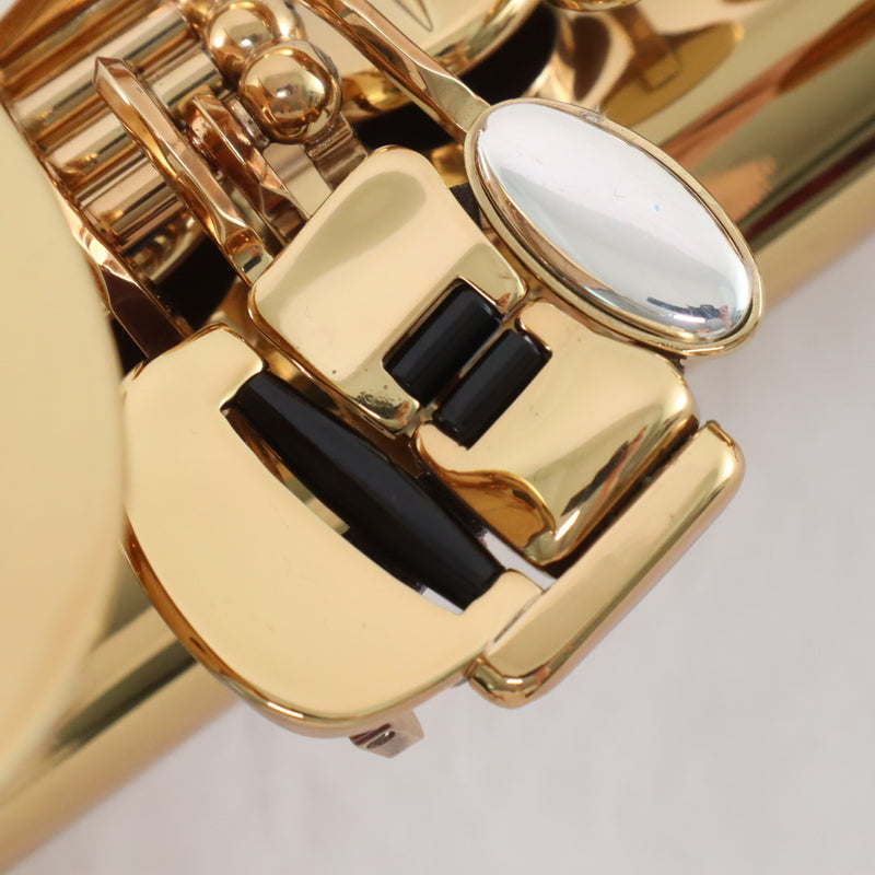 Eastman Model EAS850 'Rue Saint-Georges' Professional Alto Saxophone BRAND NEW- for sale at BrassAndWinds.com
