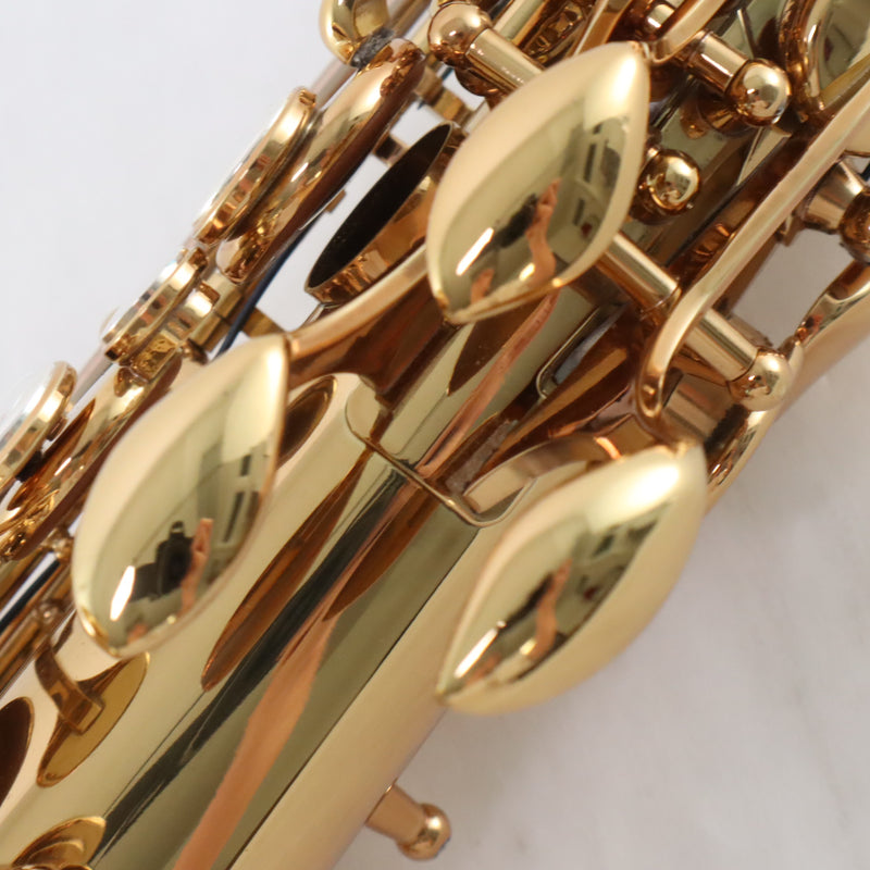Eastman Model EAS850 'Rue Saint-Georges' Professional Alto Saxophone BRAND NEW- for sale at BrassAndWinds.com