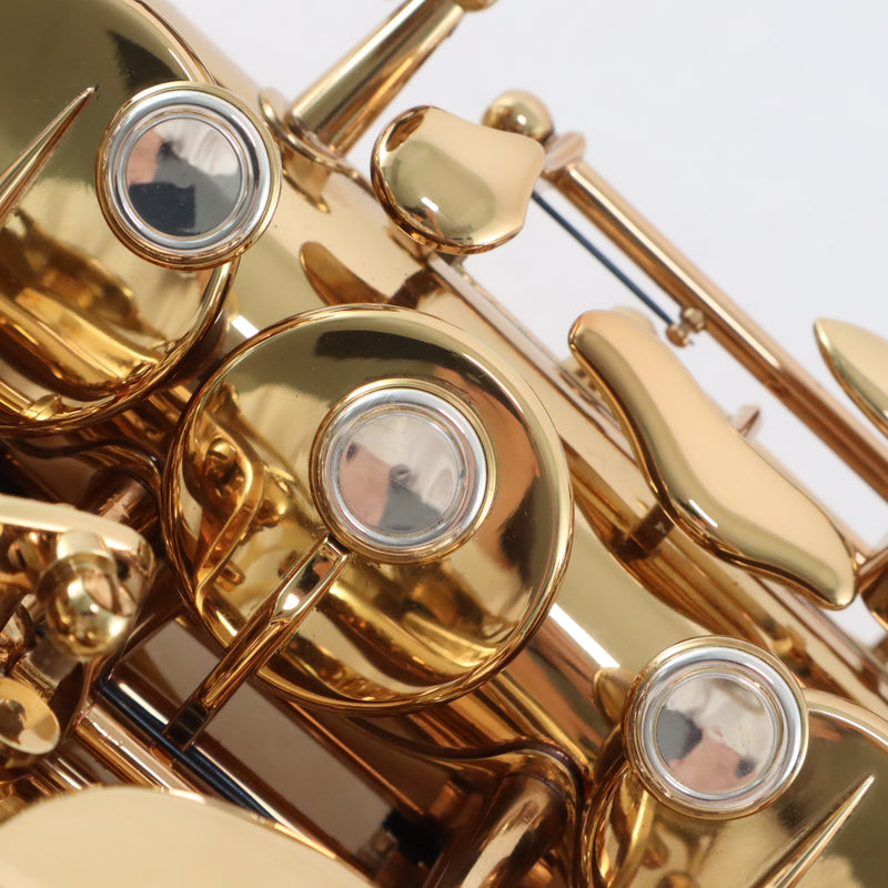 Eastman Model EAS850 'Rue Saint-Georges' Professional Alto Saxophone BRAND NEW- for sale at BrassAndWinds.com