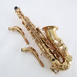 Eastman Model EAS850 'Rue Saint-Georges' Professional Alto Saxophone BRAND NEW- for sale at BrassAndWinds.com