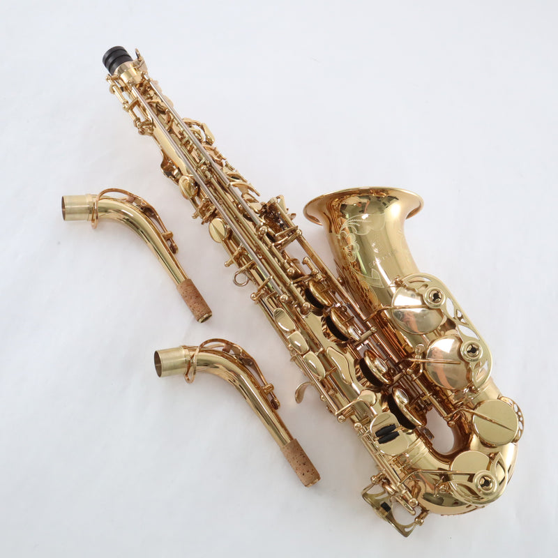 Eastman Model EAS850 'Rue Saint-Georges' Professional Alto Saxophone BRAND NEW- for sale at BrassAndWinds.com