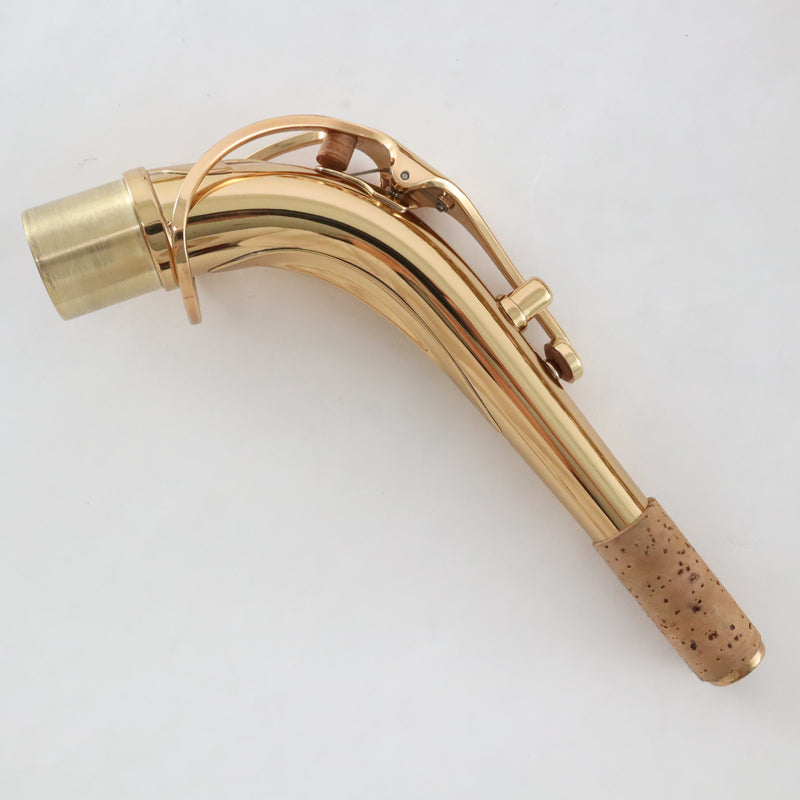 Eastman Model EAS850 'Rue Saint-Georges' Professional Alto Saxophone BRAND NEW- for sale at BrassAndWinds.com