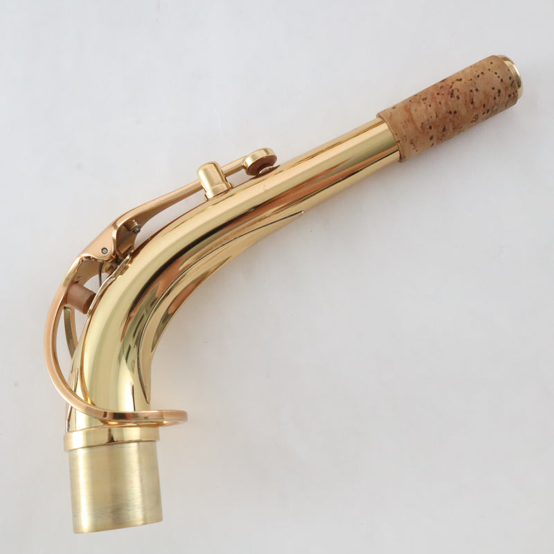 Eastman Model EAS850 'Rue Saint-Georges' Professional Alto Saxophone BRAND NEW- for sale at BrassAndWinds.com