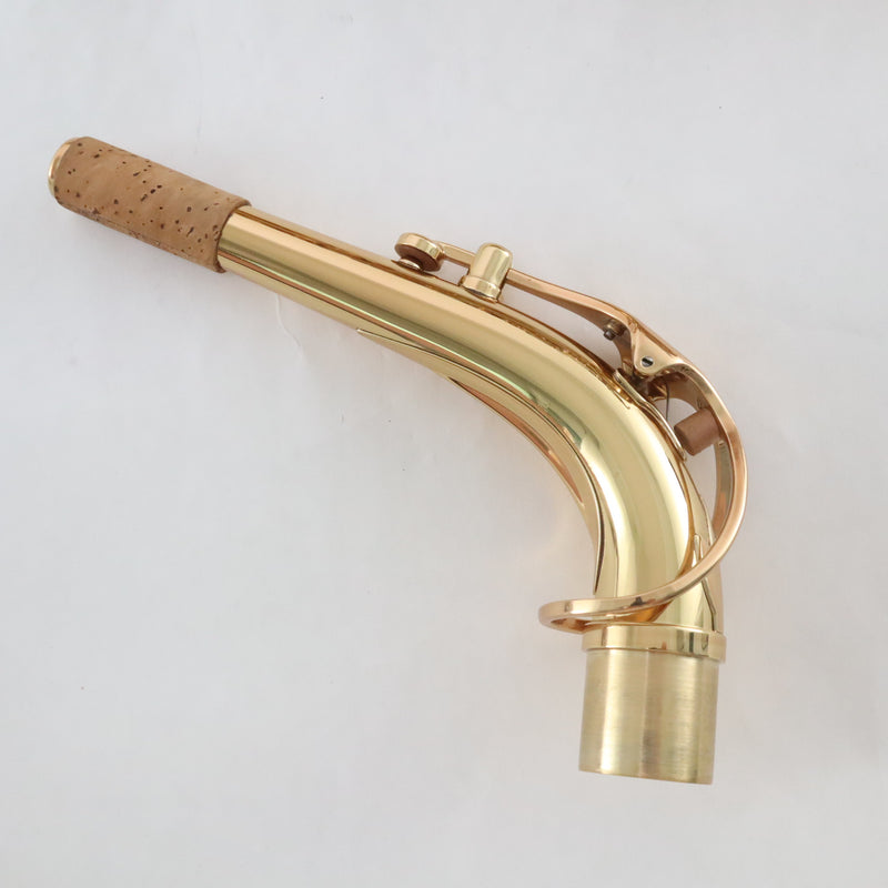 Eastman Model EAS850 'Rue Saint-Georges' Professional Alto Saxophone BRAND NEW- for sale at BrassAndWinds.com