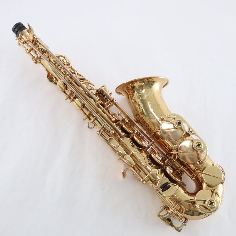 Eastman Model EAS850 'Rue Saint-Georges' Professional Alto Saxophone BRAND NEW- for sale at BrassAndWinds.com