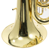 Eastman Model EBC832 Professional 4/4 CC Tuba SN Y2600269 OPEN BOX
