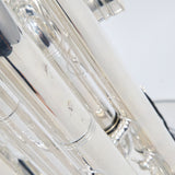 Eastman Model EBC836S Professional 6/4 CC Tuba SN Y2301851 EXCELLENT- for sale at BrassAndWinds.com