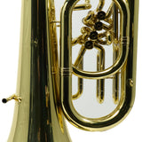Eastman Model EBE853 Professional 4/4 Compensating EEb Tuba SN Y220154