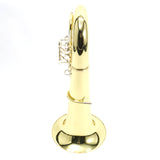 Eastman Model EBF864J Professional F Tuba SN Y2400846 BRAND NEW PROTOTYPE- for sale at BrassAndWinds.com