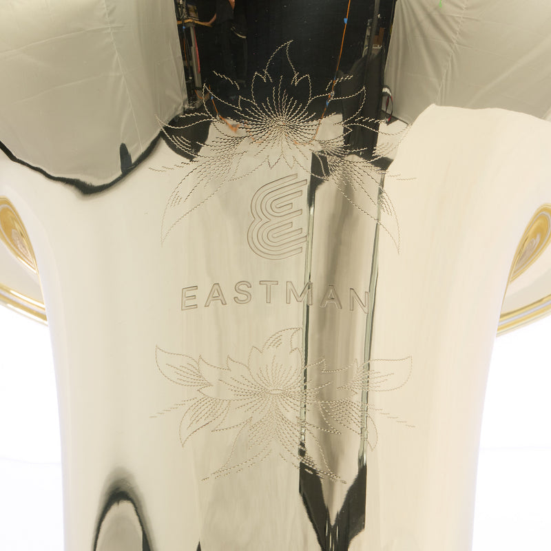 Eastman Model EBF866 Professional F Tuba SN Y2301060 OPEN BOX