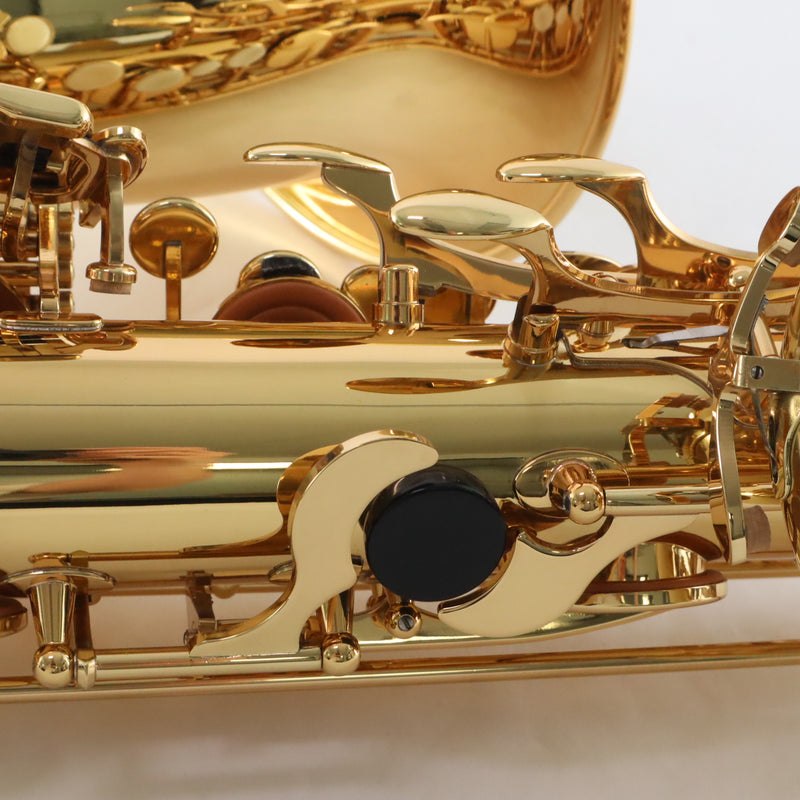 Eastman Model EBS453 Performance Low A Baritone Saxophone BRAND NEW- for sale at BrassAndWinds.com