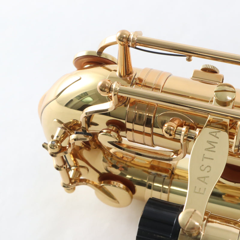 Eastman Model EBS453 Performance Low A Baritone Saxophone BRAND NEW- for sale at BrassAndWinds.com