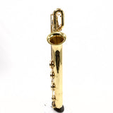 Eastman Model EBS453 Performance Low A Baritone Saxophone MINT CONDITION- for sale at BrassAndWinds.com