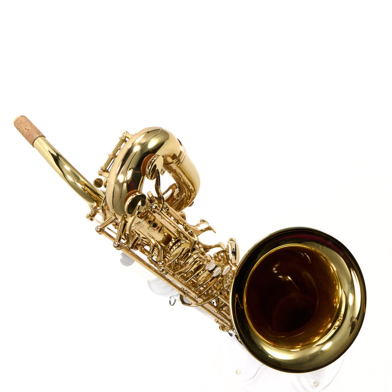 Eastman Model EBS453 Performance Low A Baritone Saxophone MINT CONDITION- for sale at BrassAndWinds.com