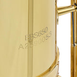 Eastman Model EBS650 'Rue Saint George' Baritone Saxophone SN A2590053 OPEN BOX