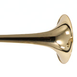 Eastman Model ETB829G Tenor Trombone with Axial Flow Valve SN 11976157 OPEN BOX- for sale at BrassAndWinds.com