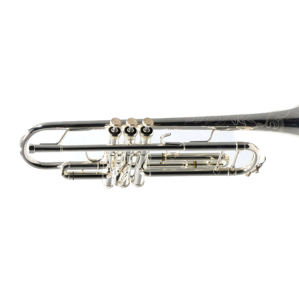 Eastman Model ETR822S-LT Professional Bb Trumpet SN 905652 OPEN BOX- for sale at BrassAndWinds.com