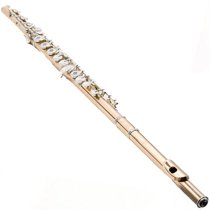 Geoghegan Handmade 14K Gold Flute with Silver Mechanism