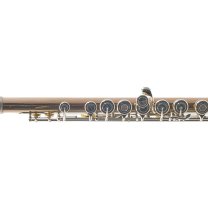 Geoghegan Handmade 14K Gold Flute with Silver Mechanism