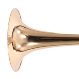 Greenhoe Model GC5-3R-TIS Bass Trombone with Tuning in Slide SN 5402 EXCELLENT- for sale at BrassAndWinds.com