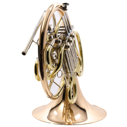 Holton Model H181 'Farkas' Professional Double French Horn