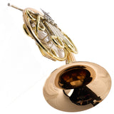 Holton Model H181 'Farkas' Professional Double French Horn