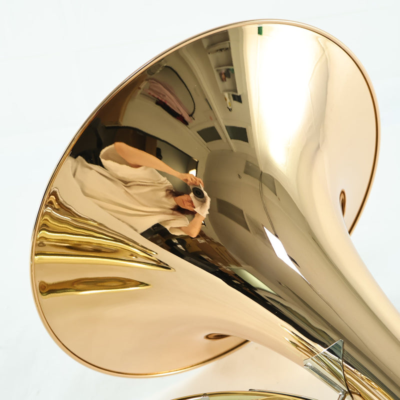 Holton Model H181 'Farkas' Professional Double French Horn SN 654625 SUPERB- for sale at BrassAndWinds.com