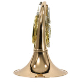 Holton Model H281 'Farkas' Professional Double French Horn SN 654753 GORGEOUS- for sale at BrassAndWinds.com
