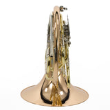 Holton Model H281 'Farkas' Professional Double French Horn SN 665682 SUPERB- for sale at BrassAndWinds.com