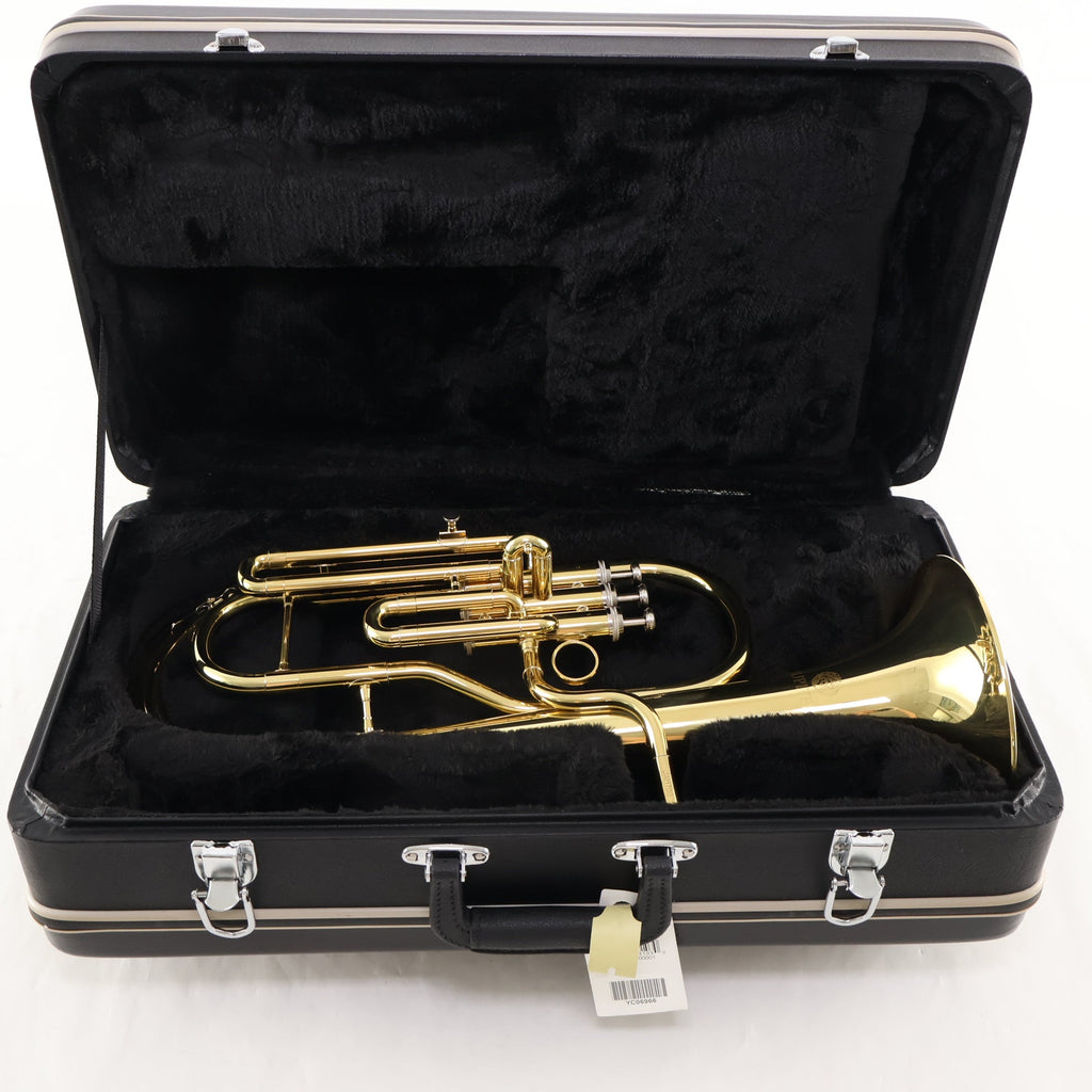 Alto horn for sale hotsell