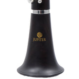 Jupiter Model JCL1100SQ Advanced Grenadilla Bb Clarinet SN EE64548 OPEN BOX- for sale at BrassAndWinds.com