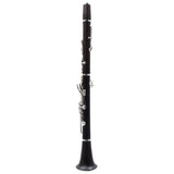 Jupiter Model JCL1100SQ Advanced Grenadilla Bb Clarinet SN EE64548 OPEN BOX- for sale at BrassAndWinds.com
