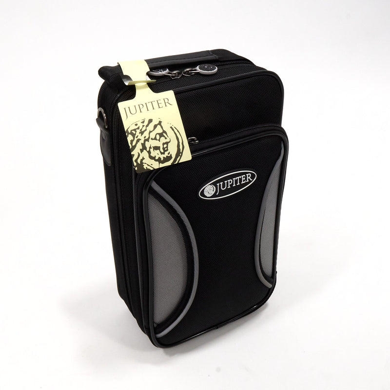 Jupiter Model JCL1100SQ Advanced Grenadilla Bb Clarinet SN EE68203 OPEN BOX- for sale at BrassAndWinds.com