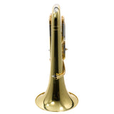 Jupiter Model JEP1120 Professional Compensating Euphonium SN XAC01257 OPEN BOX- for sale at BrassAndWinds.com