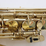 King Super 20 Professional Alto Saxophone with Silver and Brass Necks SN 531167 EXCELLENT- for sale at BrassAndWinds.com