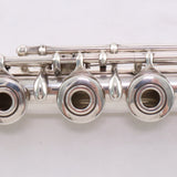 Muramatsu AD Model Professional Flute SN 27451 SUPERB- for sale at BrassAndWinds.com