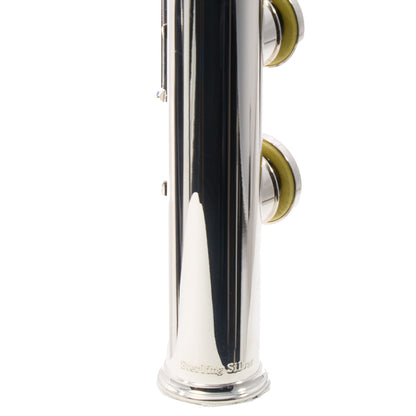 Powell Sonare PS-905 Professional Sterling Silver Flute