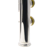 Powell Sonare PS-905 Professional Sterling Silver Flute SN 140745 EXCELLENT