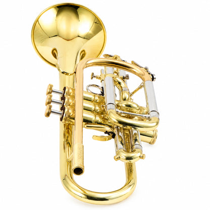 S.E. Shires A16 Student Bb Cornet in Clear Lacquer