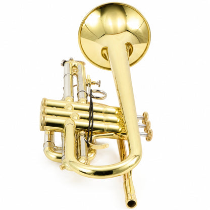 S.E. Shires A16 Student Bb Cornet in Clear Lacquer