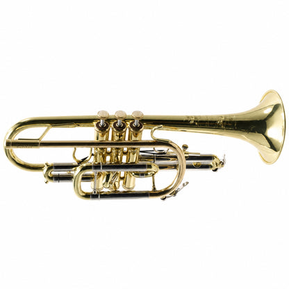 S.E. Shires A16 Student Bb Cornet in Clear Lacquer
