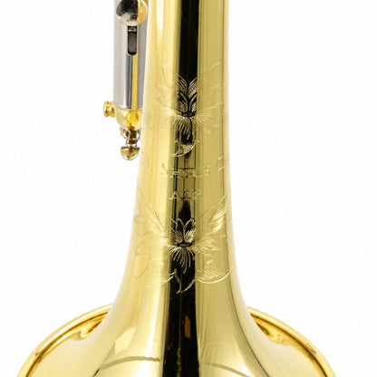 S.E. Shires A16 Student Bb Cornet in Clear Lacquer