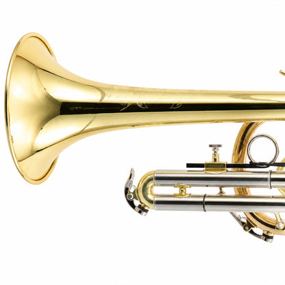 S.E. Shires A16 Student Bb Cornet in Clear Lacquer