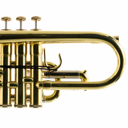 S.E. Shires A16 Student Bb Cornet in Clear Lacquer