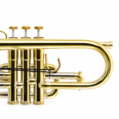 S.E. Shires A16 Student Bb Cornet in Clear Lacquer