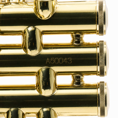 S.E. Shires A16 Student Bb Cornet in Clear Lacquer