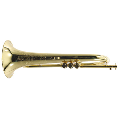 S.E. Shires Model FG8VP 'Vintage Paris' Custom Bb Flugelhorn