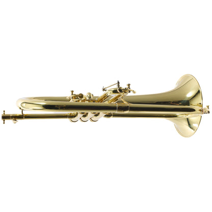 S.E. Shires Model FG8VP 'Vintage Paris' Custom Bb Flugelhorn